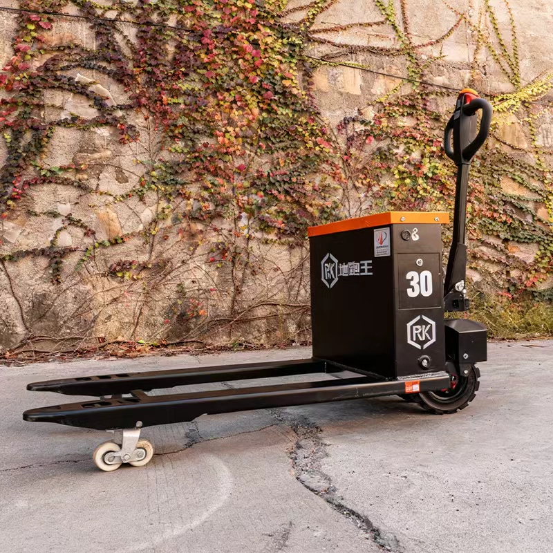 Two-Wheeled Off-Road Electric  - Electric Forklift ulasan dan harga