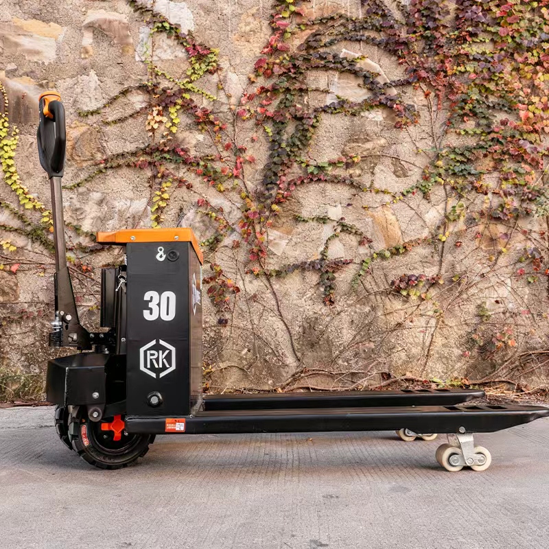 Two-Wheeled Off-Road Electric  - Electric Forklift ulasan dan harga