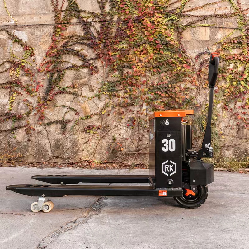 Two-Wheeled Off-Road Electric  - Electric Forklift ulasan dan harga