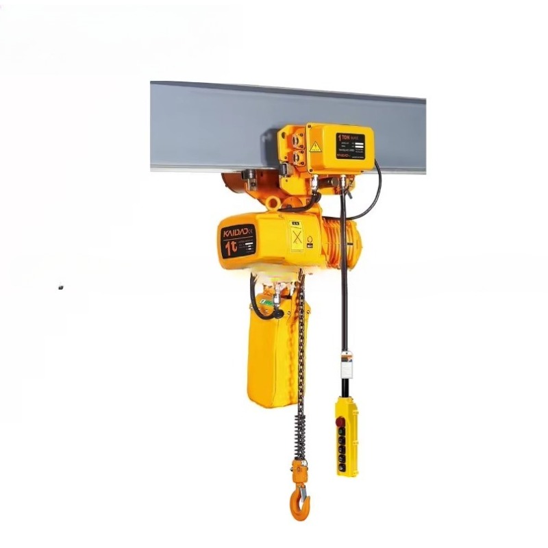 Dual Speed Electric Chain Hois - Heavy Equipment Lifting ulasan dan harga